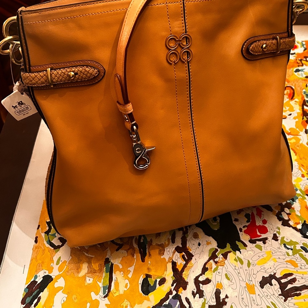 Coach Colette Leather Hobo Bag. NWT